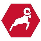 Foto di Ben Spell Ram Tool
