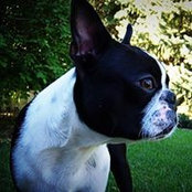 Leah Cleeland's photo