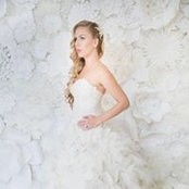 Abby Mason Anderson's photo
