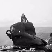 Josie Muncaster's photo