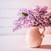 Photo de Sylia Hu