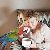 Candie Koehn's photo