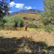 Marta Zavi's photo