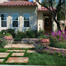 Curb And Front Yard