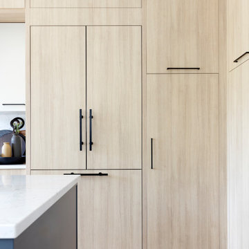 GOVERMENT LANE RENOVATION | TOWNHOUSE | BURNABY