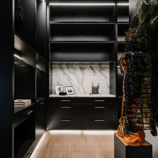 Drop Down Ceiling Storage & Closet Ideas & Photos | Houzz