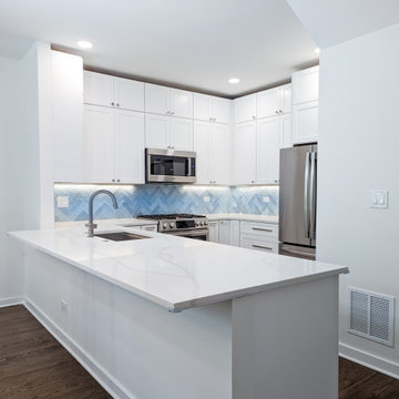 Lincoln Park Kitchen Remodel