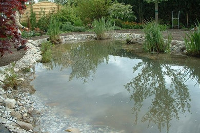 Moderner Garten in Bremen