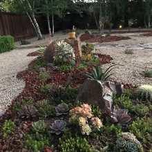 Our New Front Yard