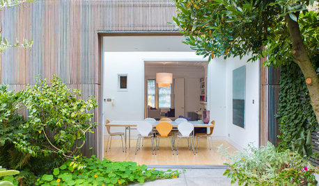 Ask an Architect: How Can I Use Timber in Exciting Ways?