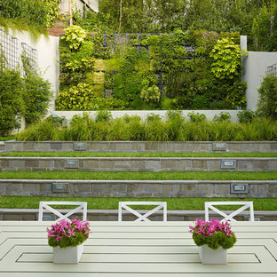 This is an example of a contemporary garden in San Francisco with a vertical garden.
