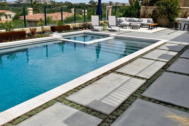 Modelo de piscina contemporánea grande rectangular en patio trasero