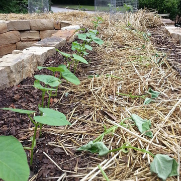 Rock Raised Veggie Garden Bed