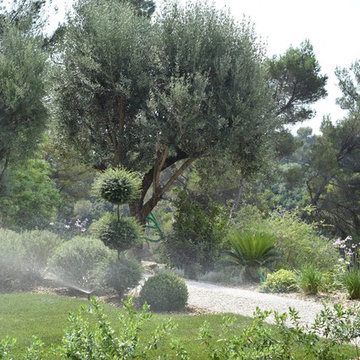 Vence