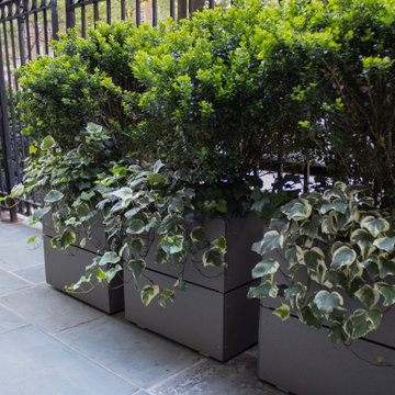 Three CITIBIN Custom Cube planters.