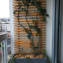 Landscape Ideas
