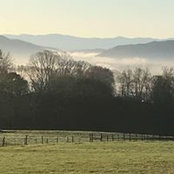 Gina Talbott's photo