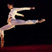 Nicole Levays foto