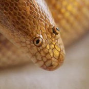 Wylie Snyder's photo