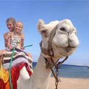 Marie Cederberg's photo