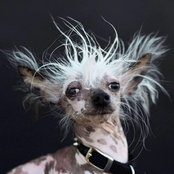 Laurie Tillett's photo