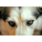 Gale Burke's photo