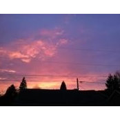 Shannon Stine's photo
