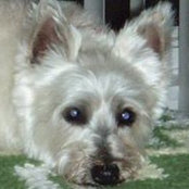 Lisa Rodriguez-Rivera's photo
