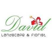 David Landscapeさんの写真