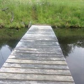 Brenda Meyer's photo