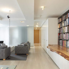 SF Living - Shelves