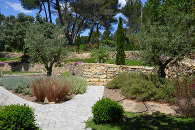 Photo of a small mediterranean garden in Montpellier.