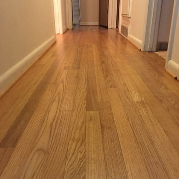 Recent Projects