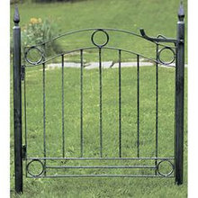 Iron Gates & Fence