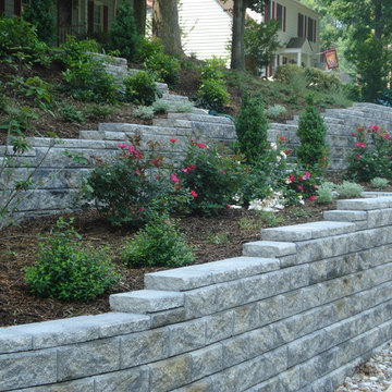 Chester Residence