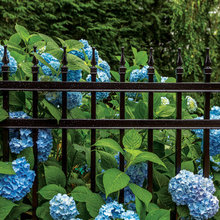Fencing Ideas