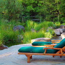 Patio Ideas