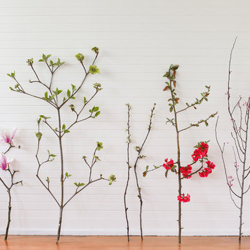 Slow Flowers' March Inspiration: Design with Flowering Branches