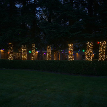 Holiday Light in Woodinville