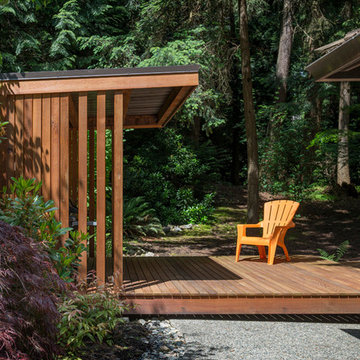 Backyard Forest