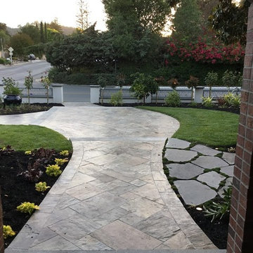 Dr Kohli's Landscape Project