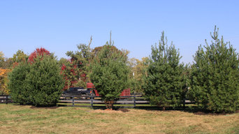 Screening a busy country road