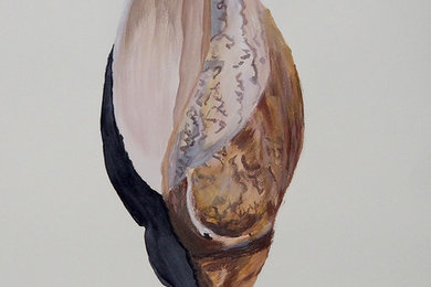 Shell on Paper