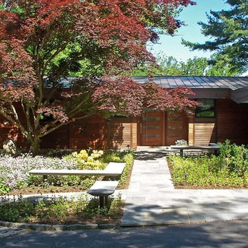 Contemporary Entrance Garden