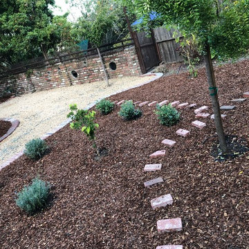 Phase 1: convert backyard into French/English/Japanese inspired garden
