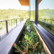 Цветы