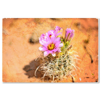 LightBoxJournal 'Desert Flower 4' Canvas Art, 30" x 47"