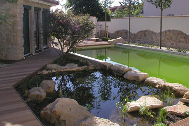Geometrischer, Mittelgroßer Mediterraner Garten im Innenhof im Sommer mit direkter Sonneneinstrahlung und Dielen in Frankfurt am Main
