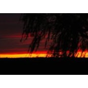 Anita Meyer's photo
