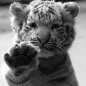 Jacqulynn Schmitz's photo